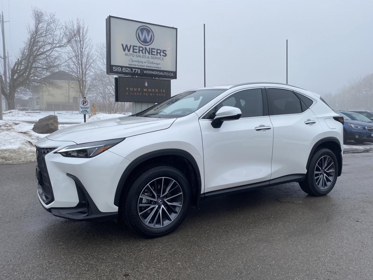 2025 Lexus NX 450h  AWD