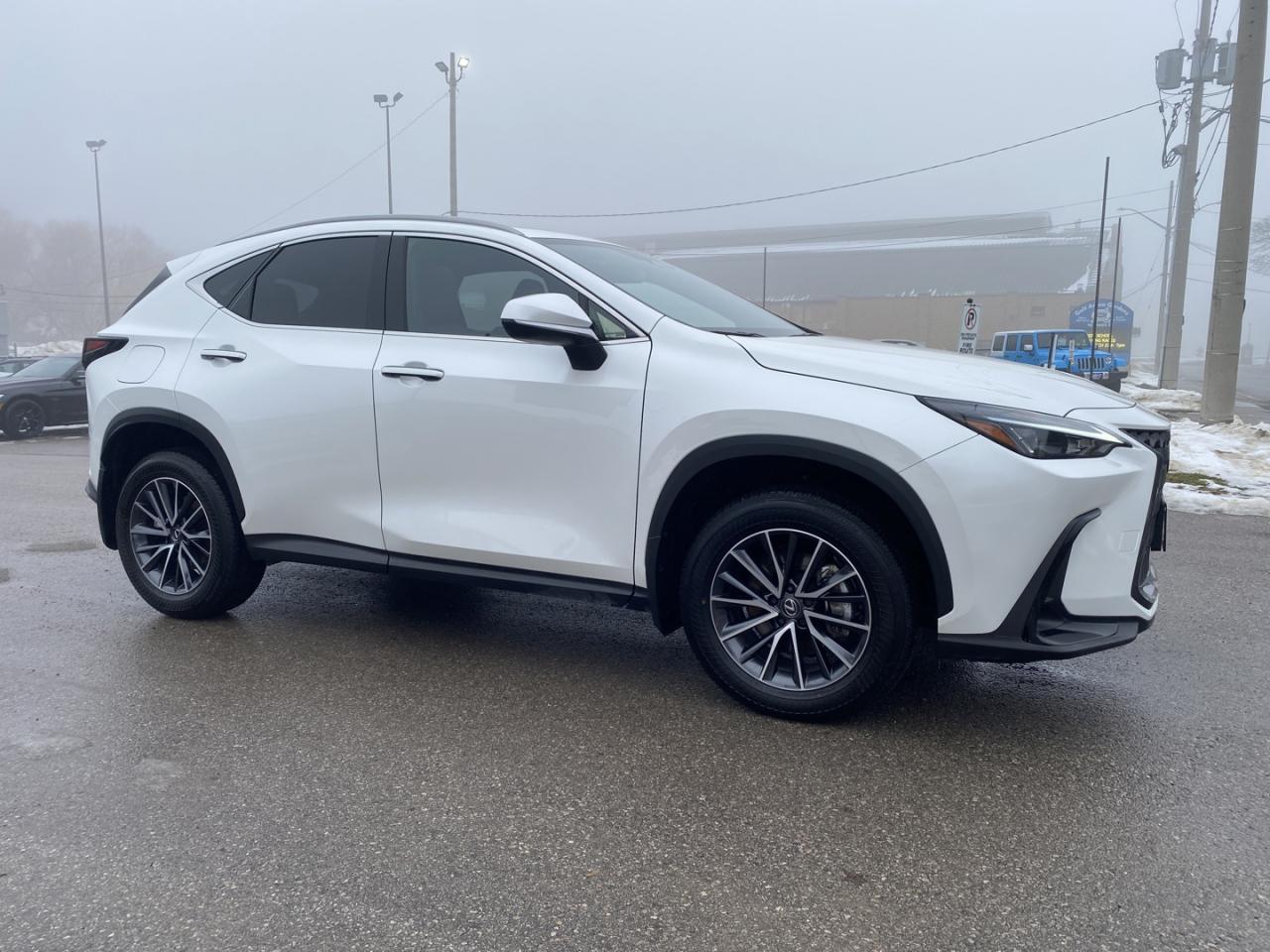 2025 Lexus NX 450h  AWD Photo