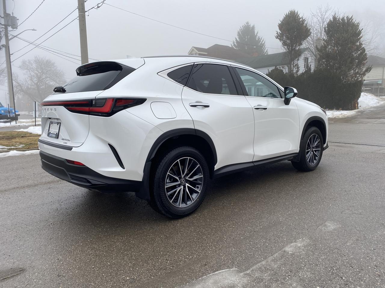 2025 Lexus NX 450h  AWD Photo2
