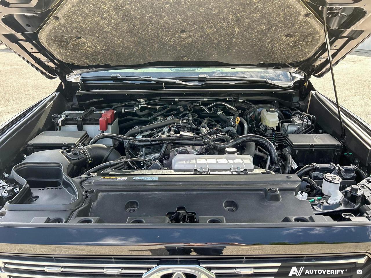 13607372