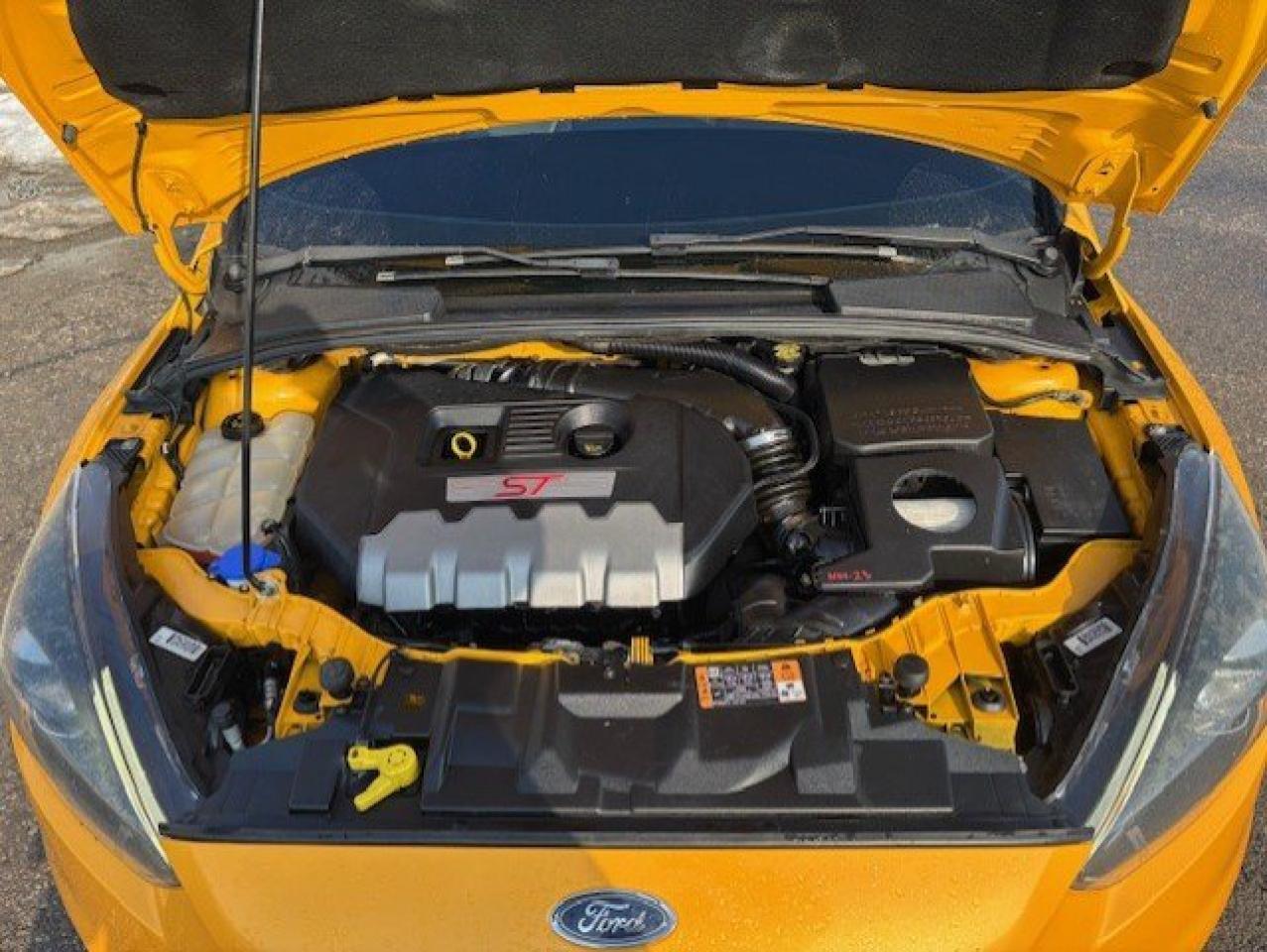 2015 Ford Focus ST **6 SPEED MANUAL-SUNROOF-NAVI-FOCUS RS WHEELS** Photo