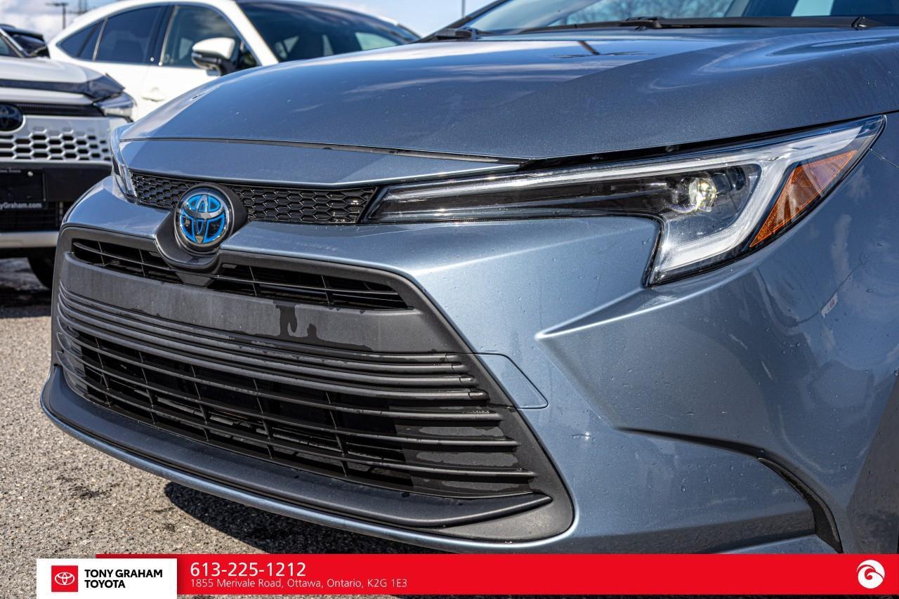 2024 Toyota Corolla Hybrid LE Photo