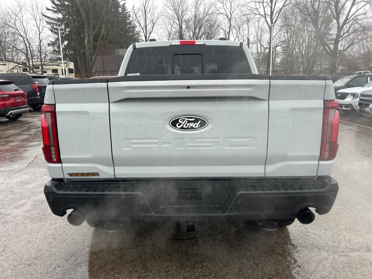 2026 Ford F-150 Tremor 4WD SuperCrew 5.5' Box Photo