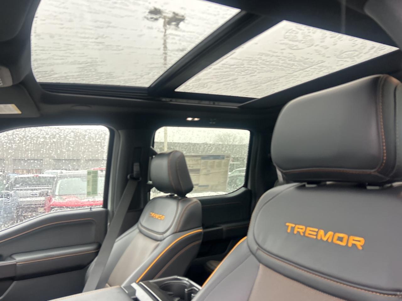 2026 Ford F-150 Tremor 4WD SuperCrew 5.5' Box Photo