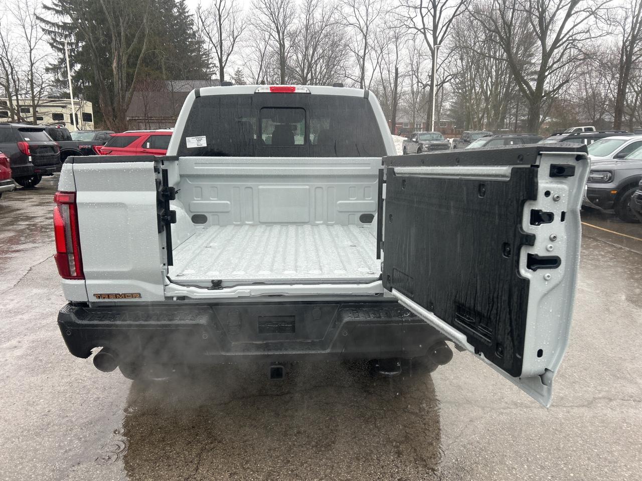 2026 Ford F-150 Tremor 4WD SuperCrew 5.5' Box Photo