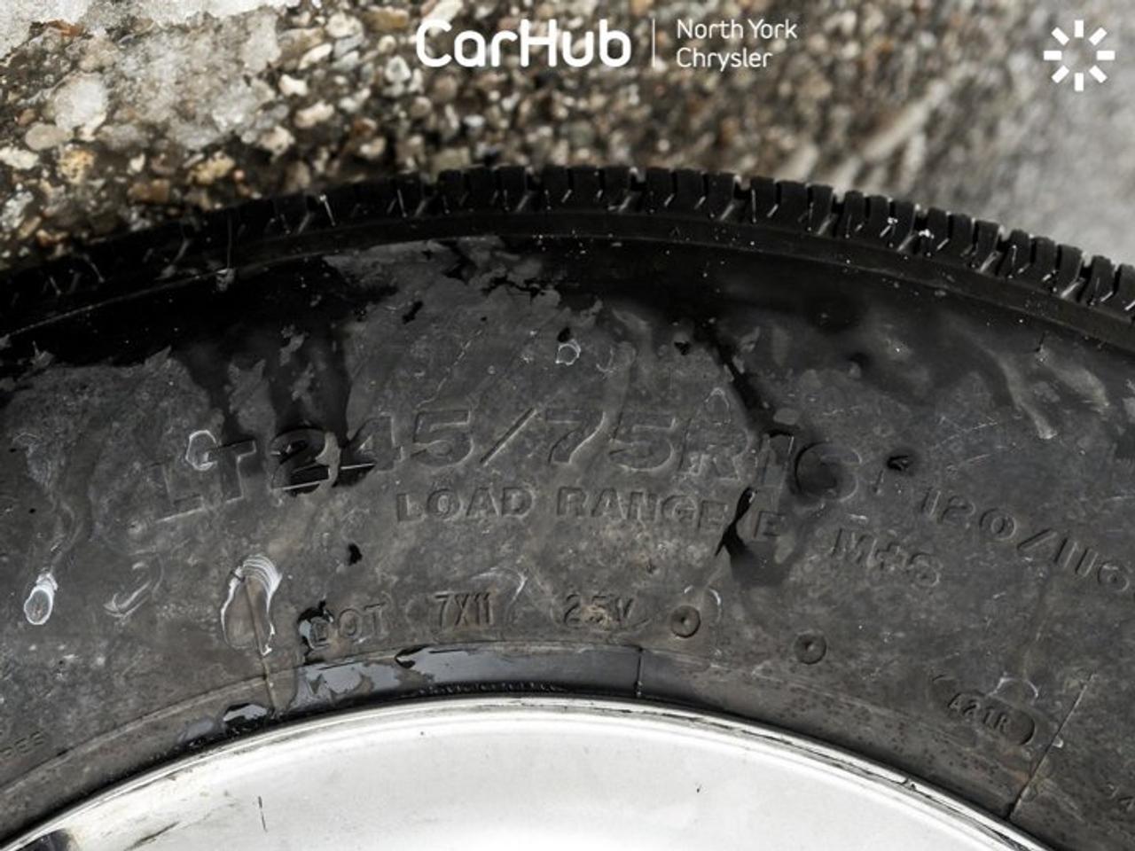 2024 Chevrolet Express Cargo Van RWD 2500 135" WB Cargo Partition Rear Back-Up  Camera Photo