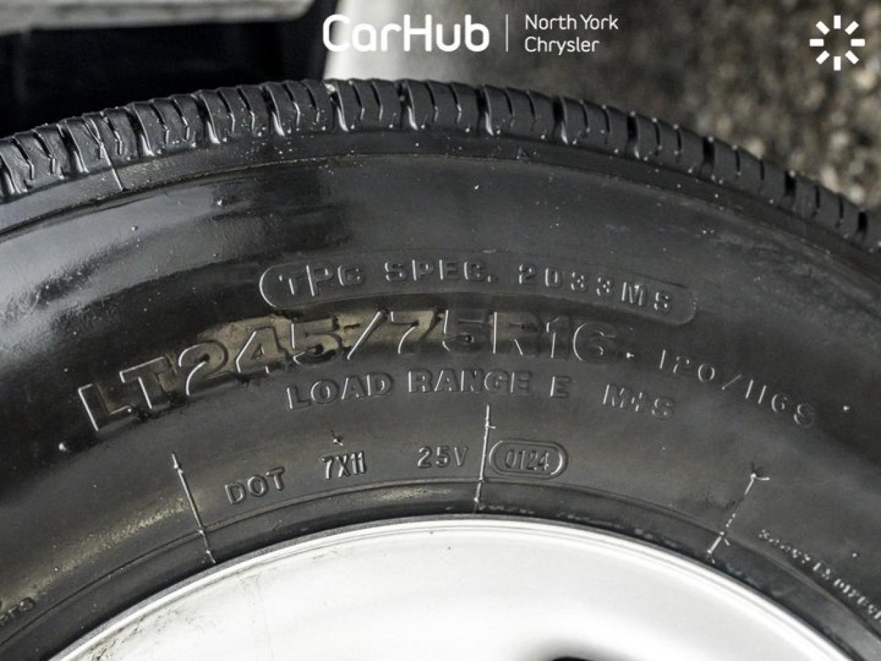 2024 Chevrolet Express Cargo Van RWD 2500 135" WB Cargo Partition Rear Back-Up  Camera Photo