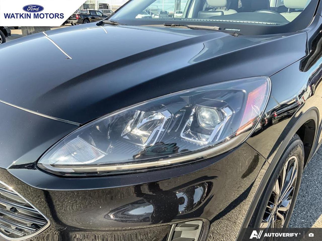 2022 Ford Escape SE Hybrid AWD Photo10