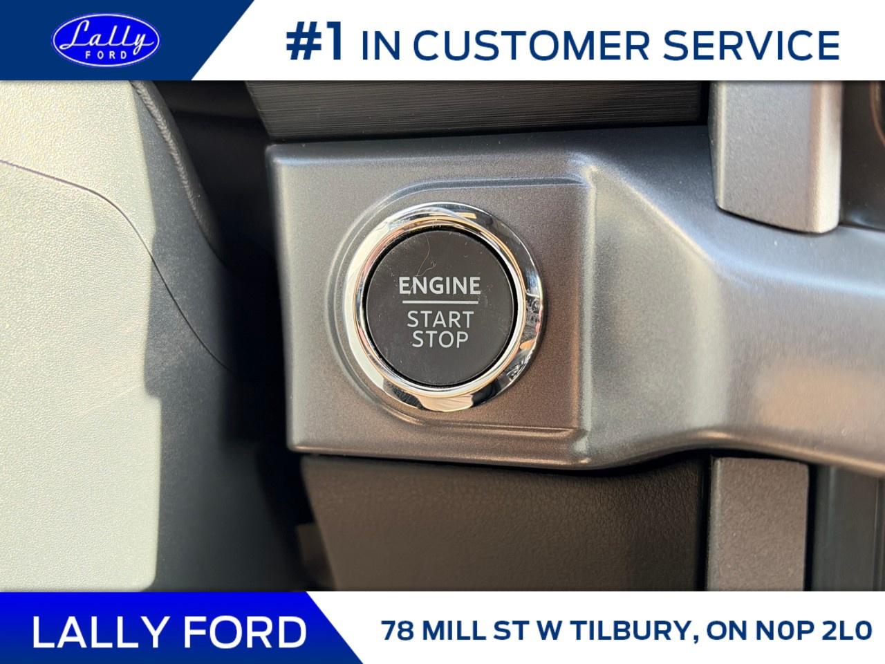 2026 Ford F-150 XLT 4WD SuperCrew 5.5' Box Photo