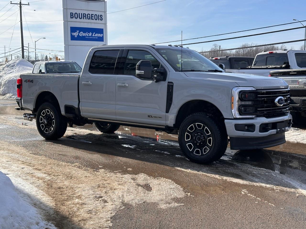 2026 Ford F-250 Super Duty SRW PLATINUM 4WD CREW CAB 6.75' BOX Photo