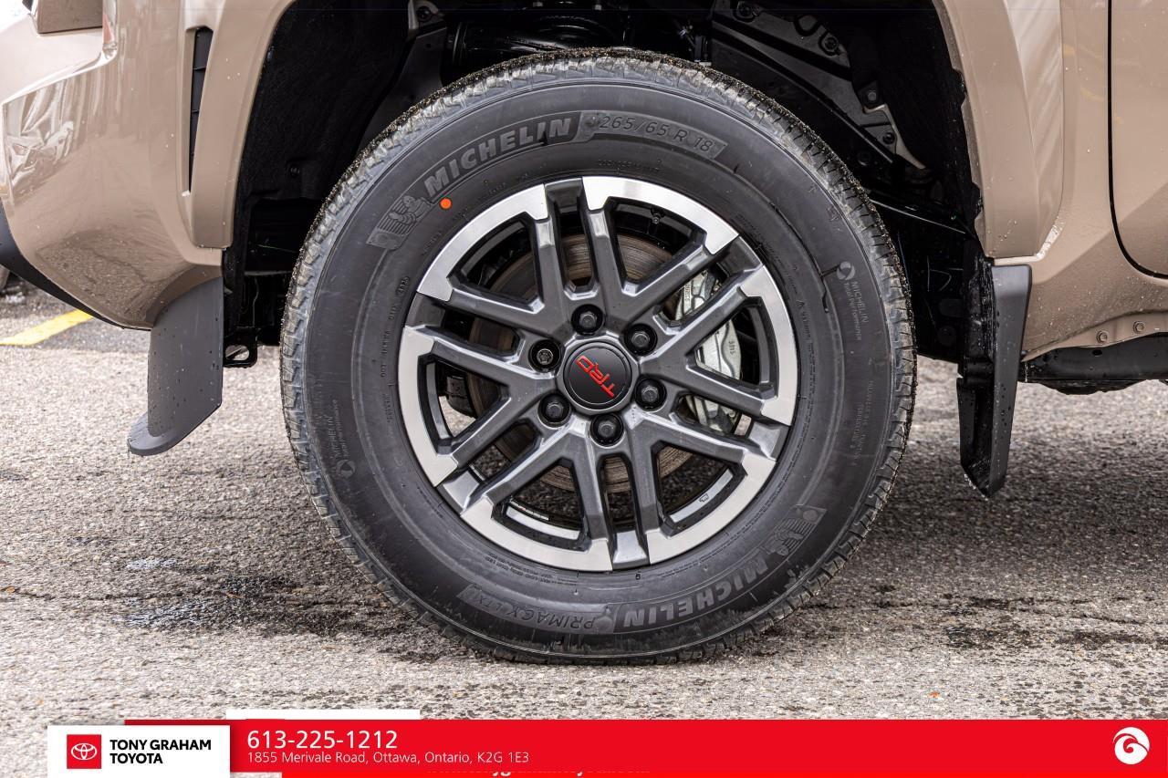 2026 Toyota Tacoma  Photo