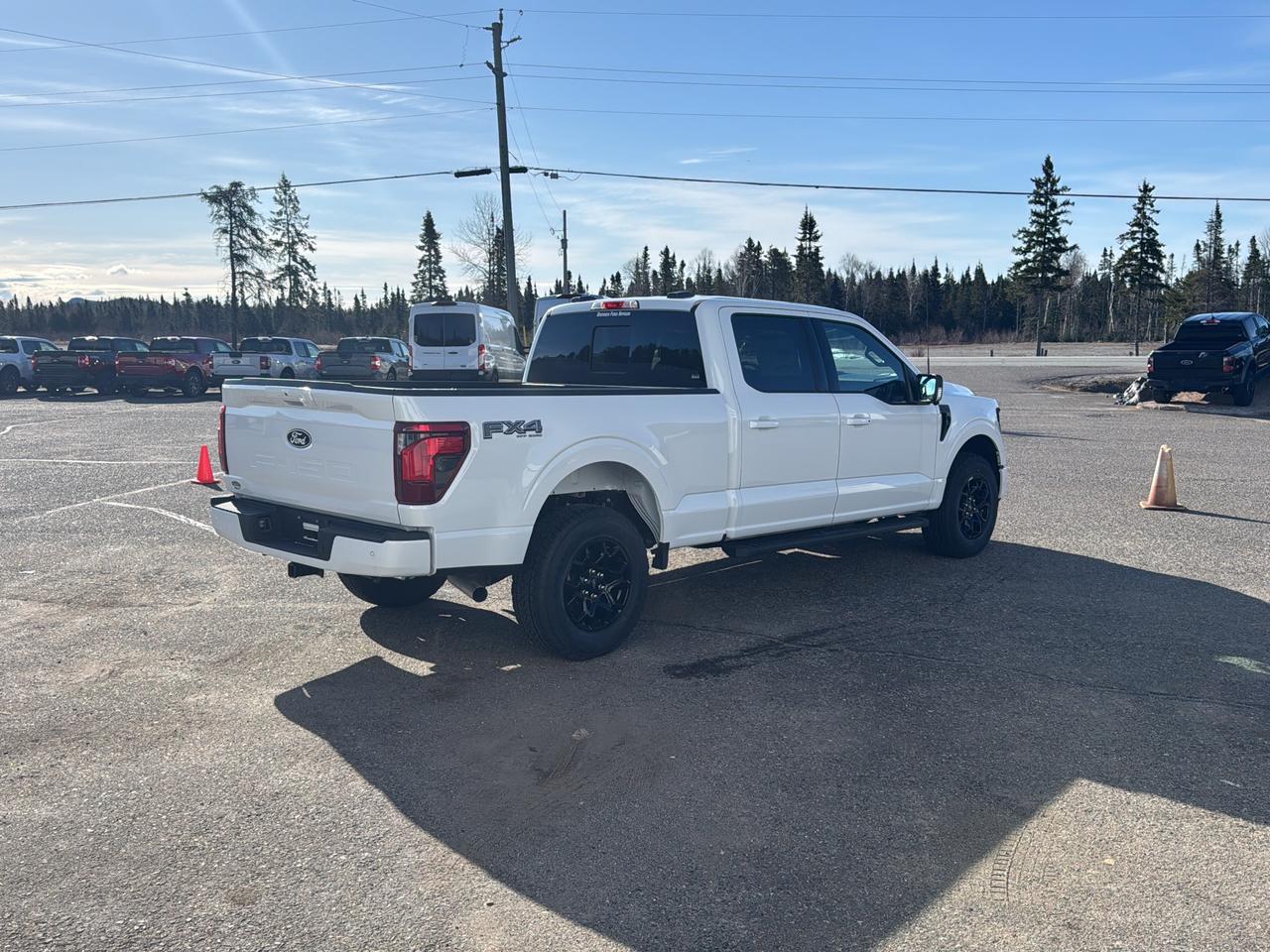 2026 Ford F-150 XLT Photo4