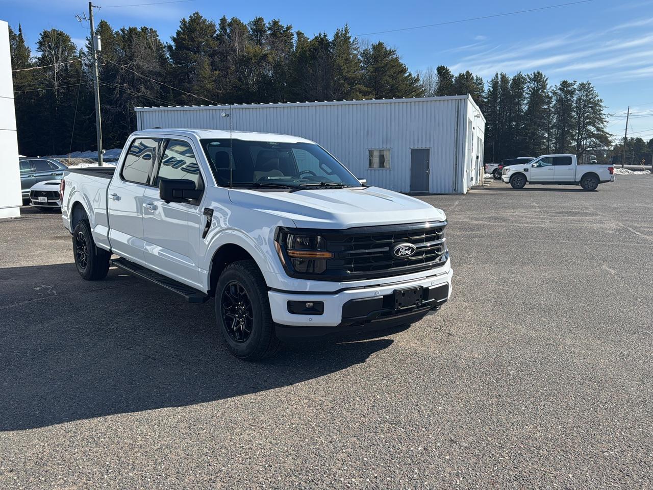 2026 Ford F-150 XLT Photo