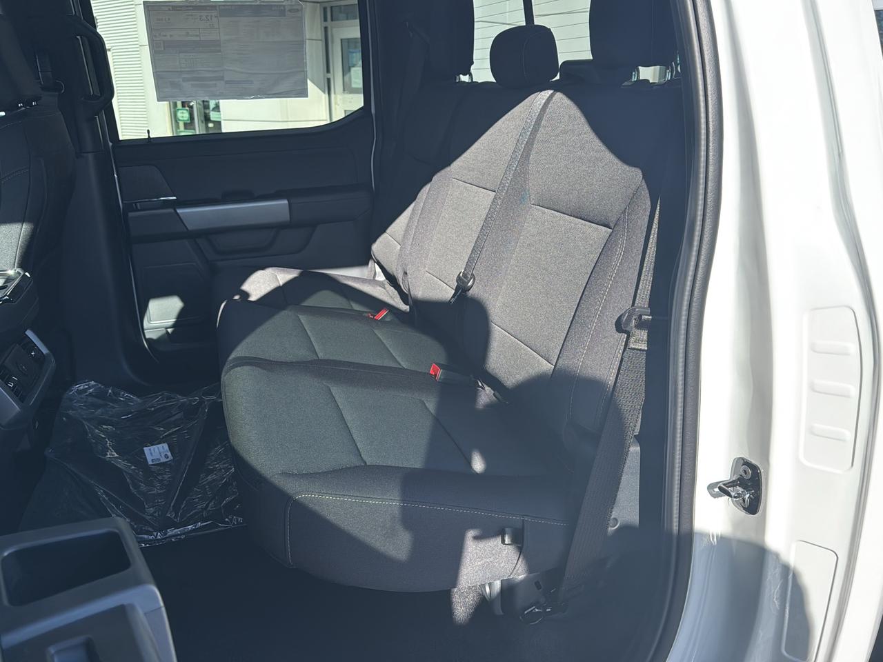 2026 Ford F-150 XLT Photo