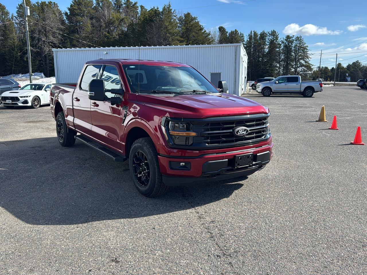 2026 Ford F-150 XLT Photo