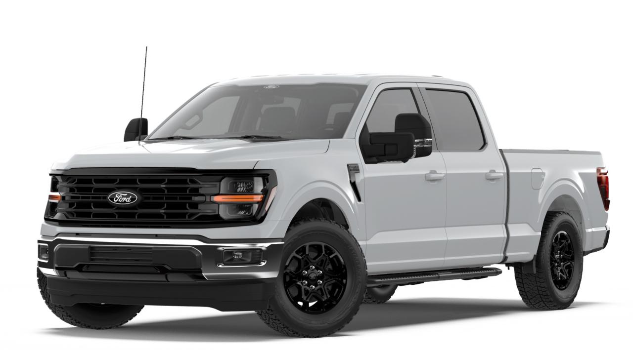 2026 Ford F-150 XLT Photo