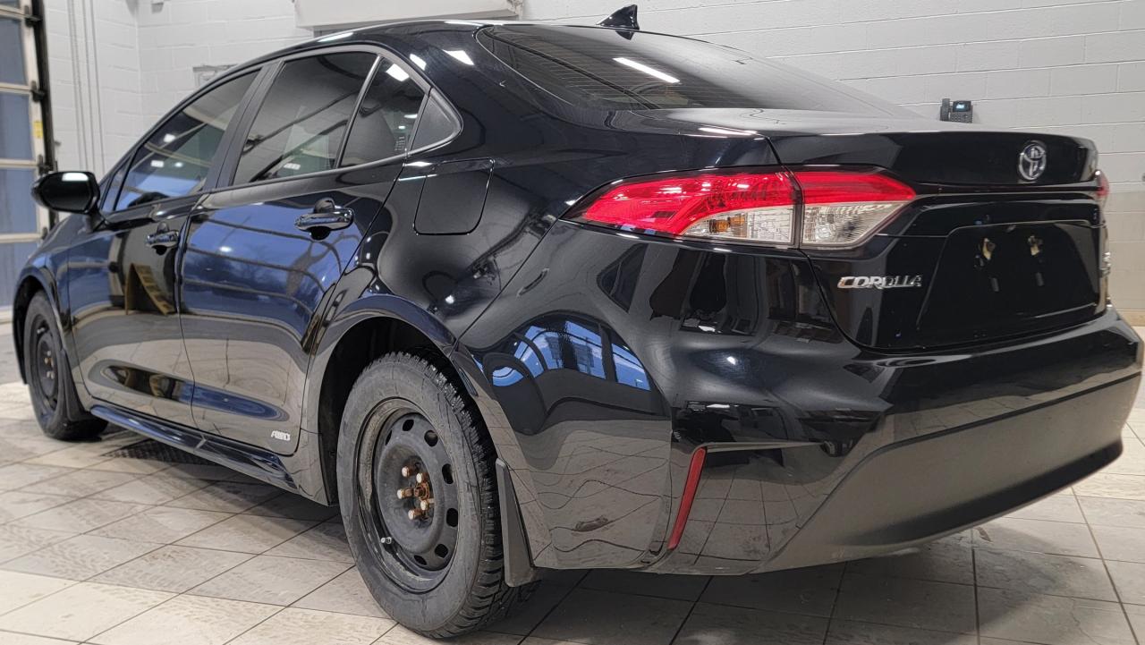 2023 Toyota Corolla Hybrid LE Photo