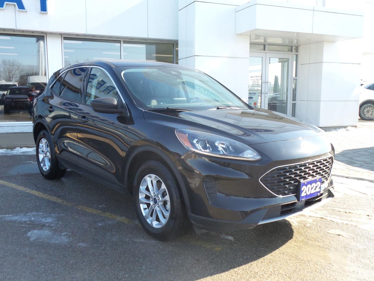 2022 Ford Escape SE, AWD, LOCAL TRADE, NAVIGATION, HEATED SEATS! Photo2