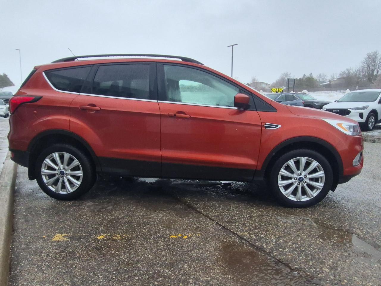 2019 Ford Escape SEL, LOCAL TRADE, 1 OWNER, VERY WELL CARED FOR! Photo