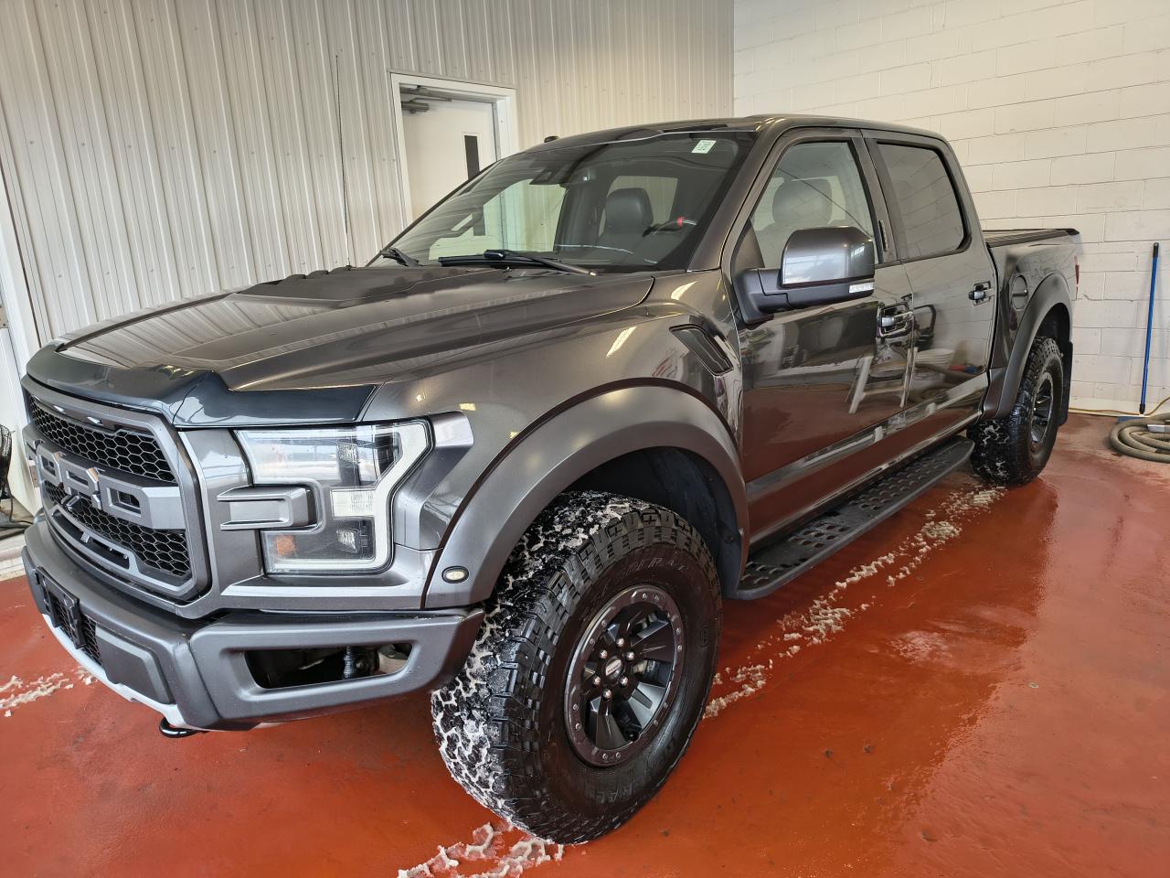 2018 Ford F-150 RAPTOR Photo