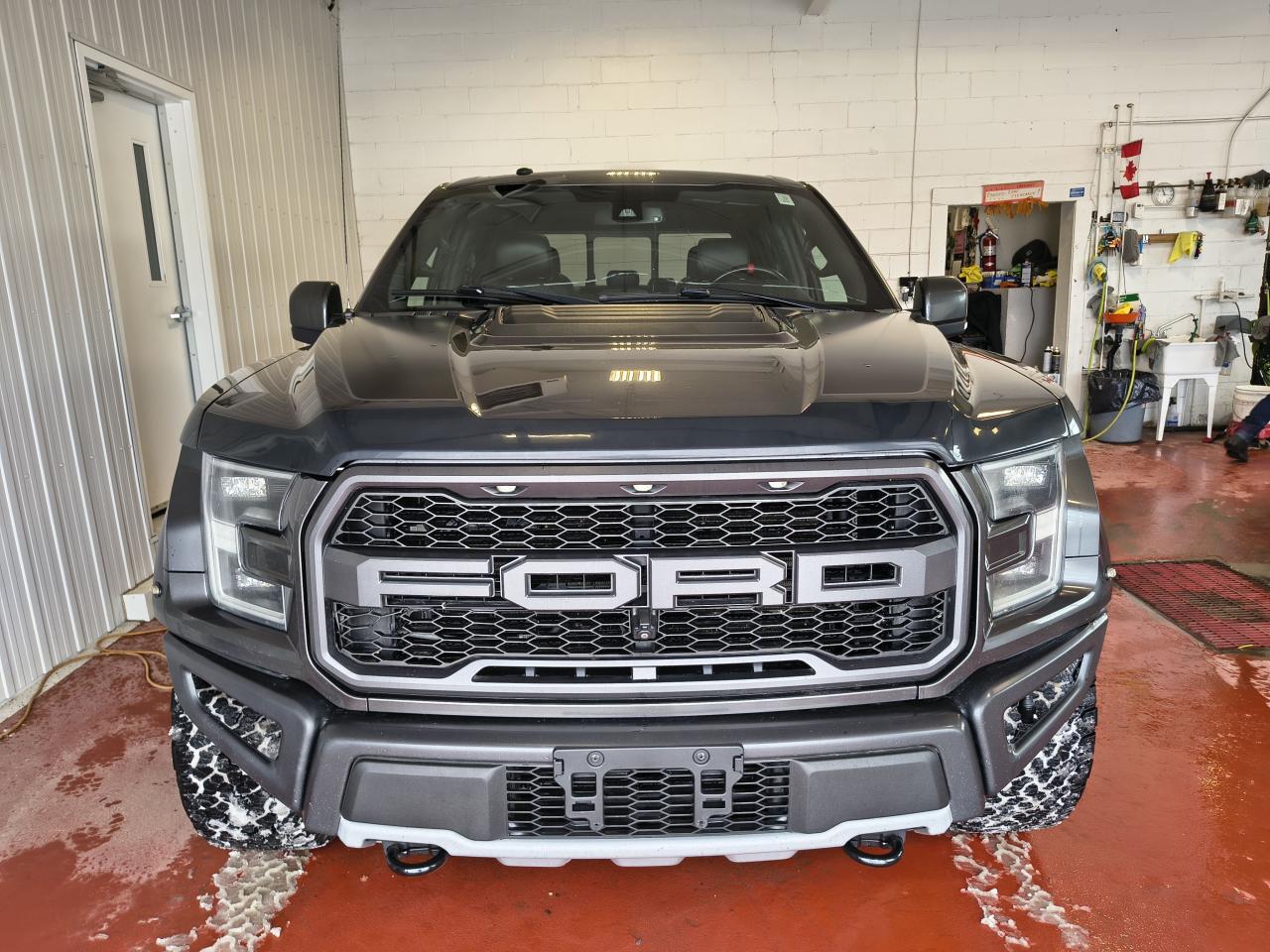 2018 Ford F-150 RAPTOR Photo0