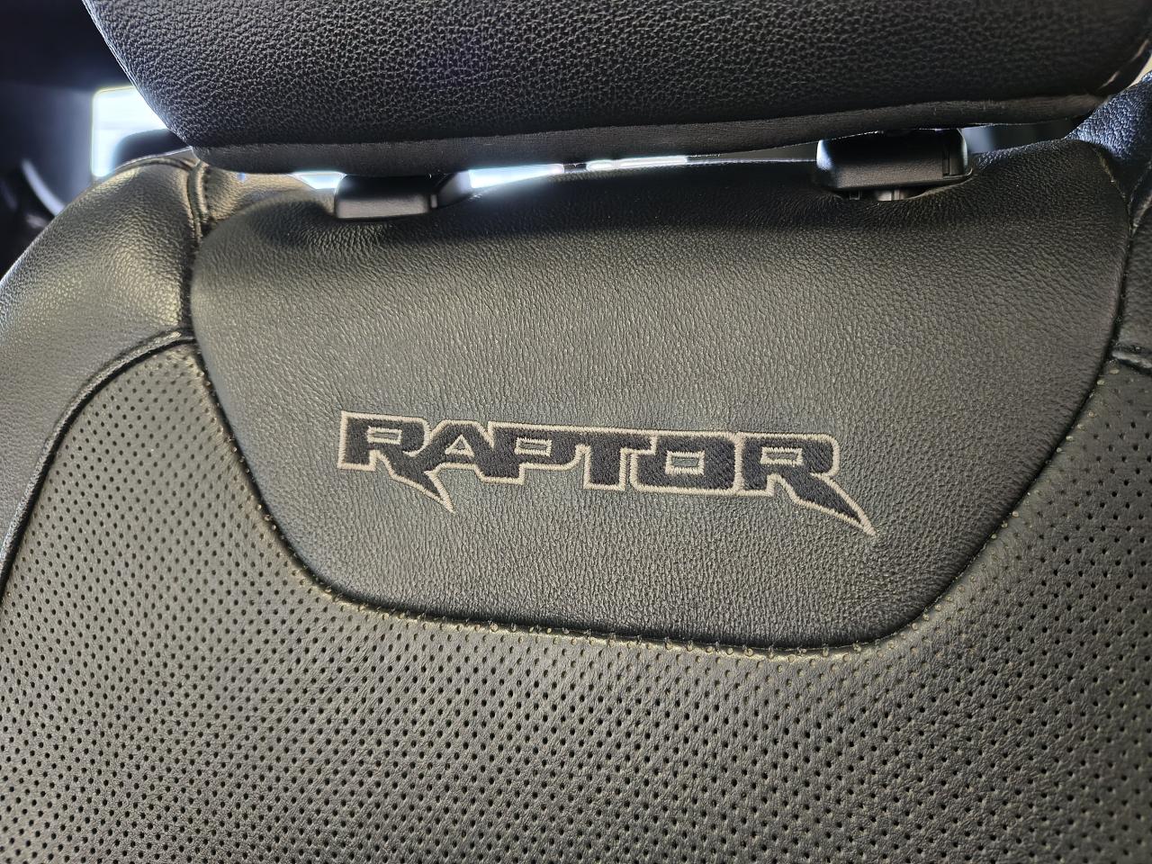 2018 Ford F-150 RAPTOR Photo0