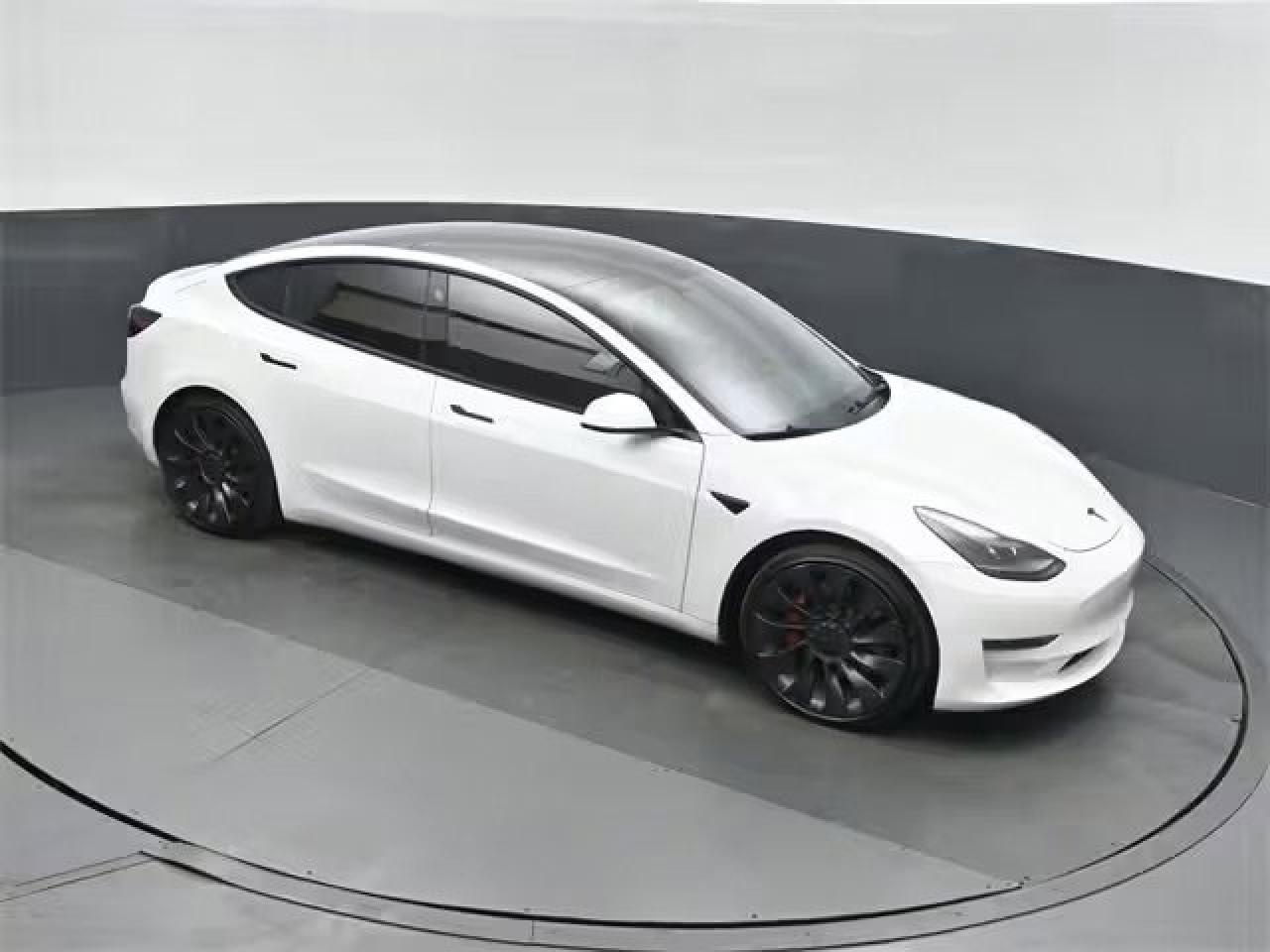 2022 Tesla Model 3 Performance Photo