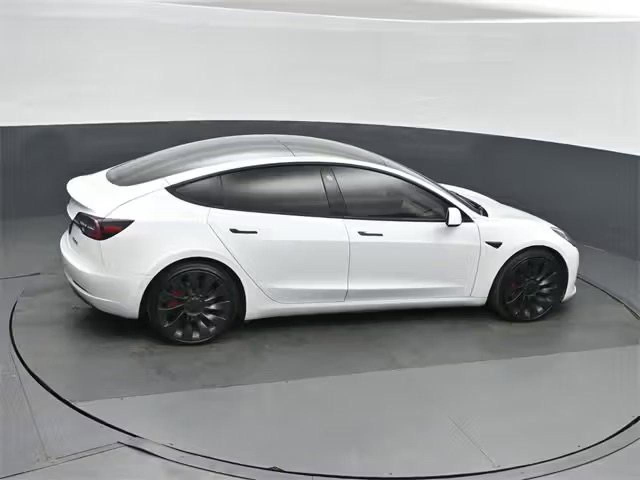 2022 Tesla Model 3 Performance Photo