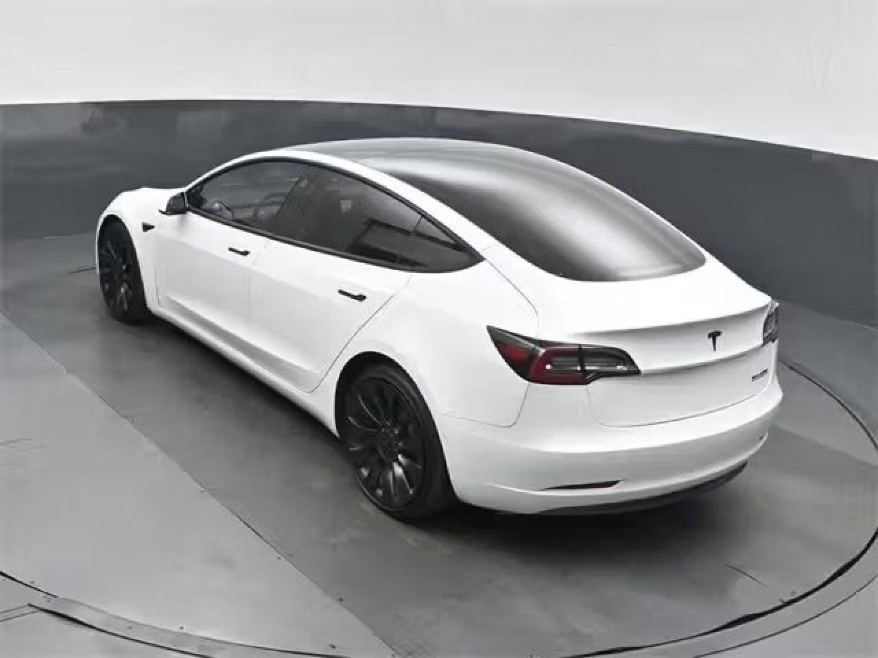 2022 Tesla Model 3 Performance Photo