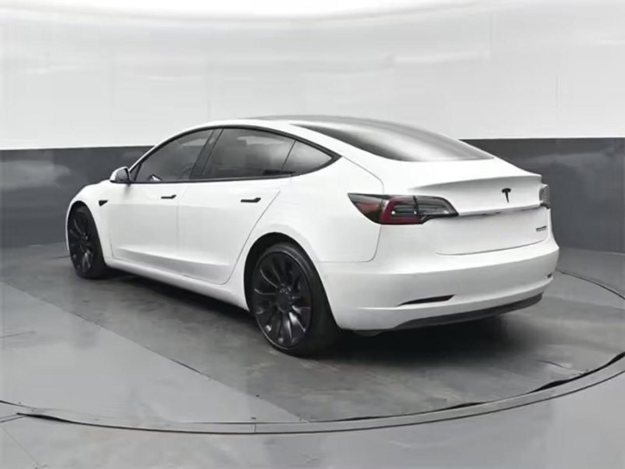 2022 Tesla Model 3 Performance Photo