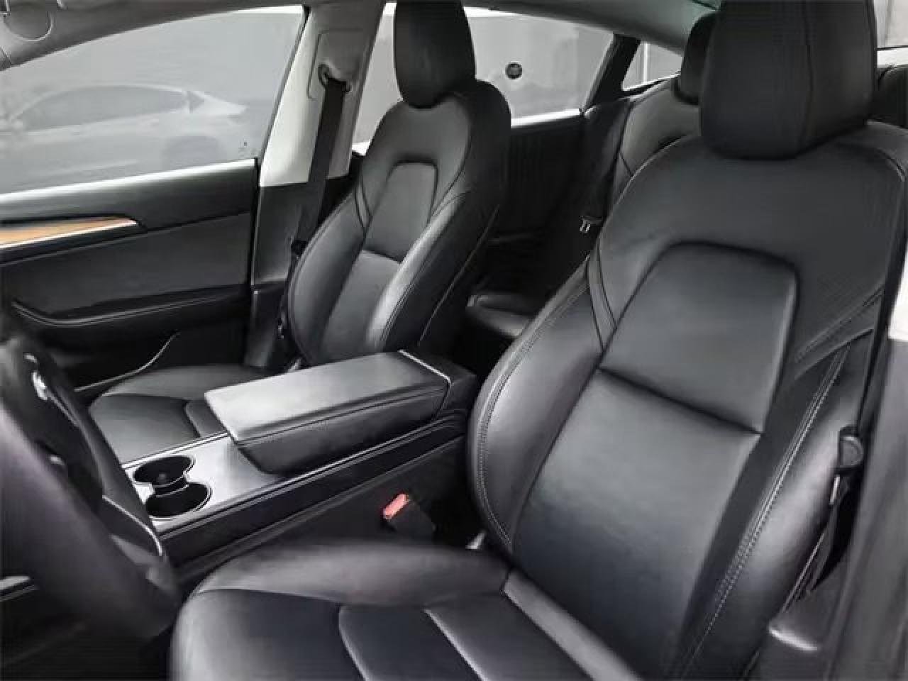 2022 Tesla Model 3 Performance Photo