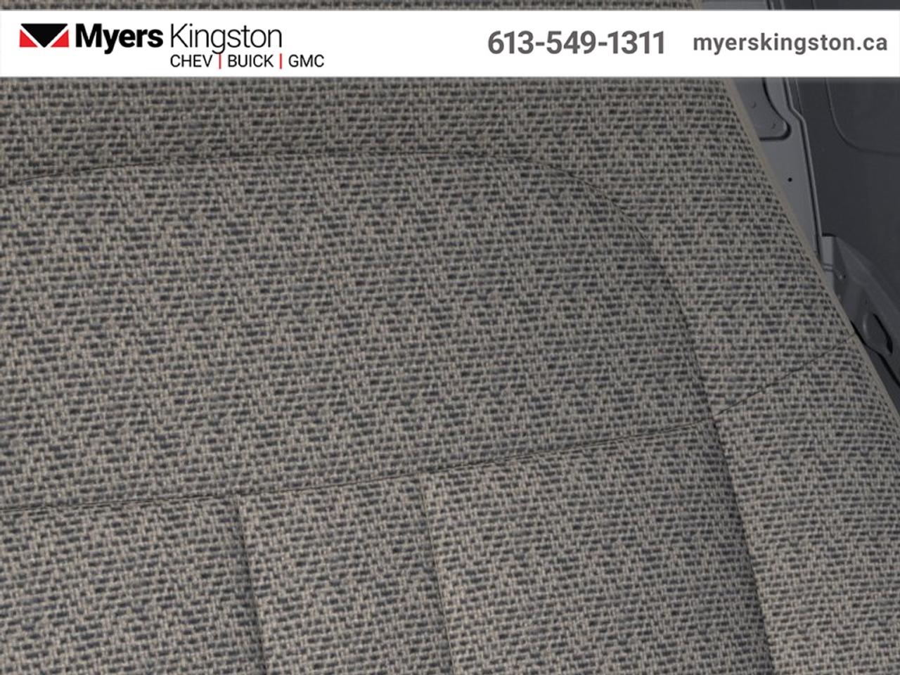 2026 Chevrolet Express Cargo Van 2500 135  - Audio System - $383 B/W Photo
