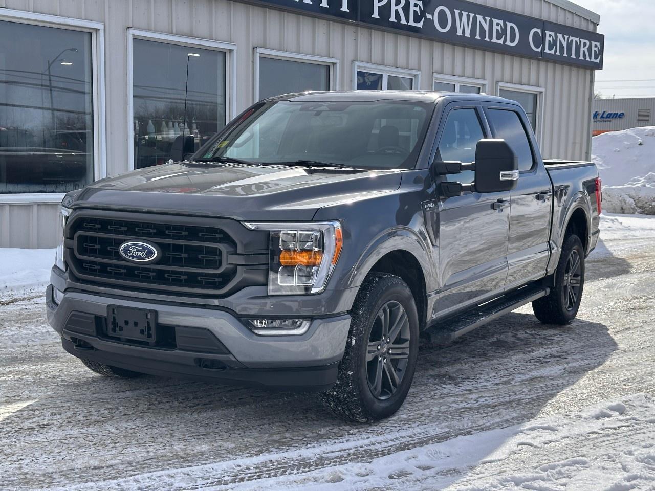 2023 Ford F-150 XLT 4WD SuperCrew 5.5' Box Photo