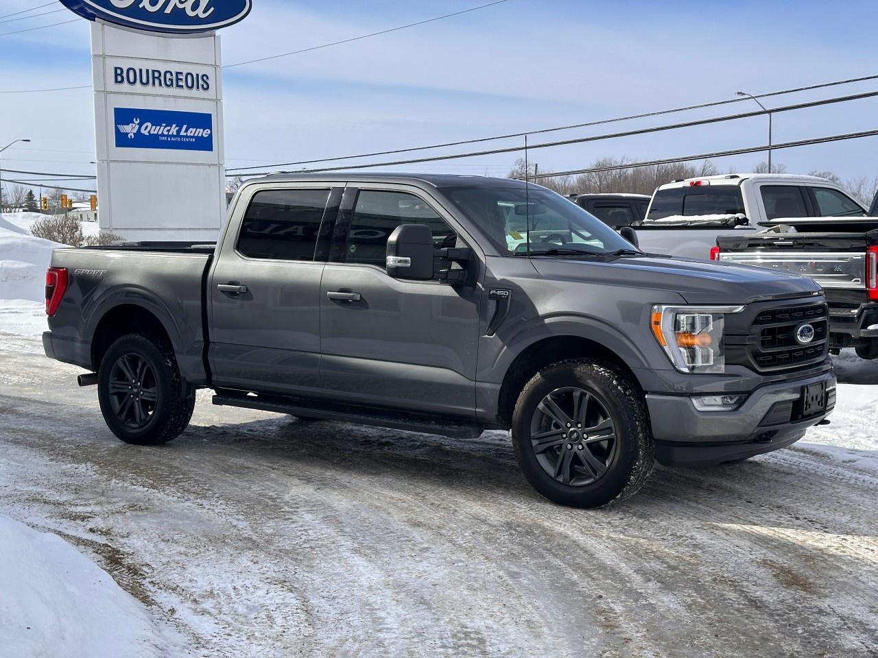2023 Ford F-150 XLT 4WD SuperCrew 5.5' Box Photo4