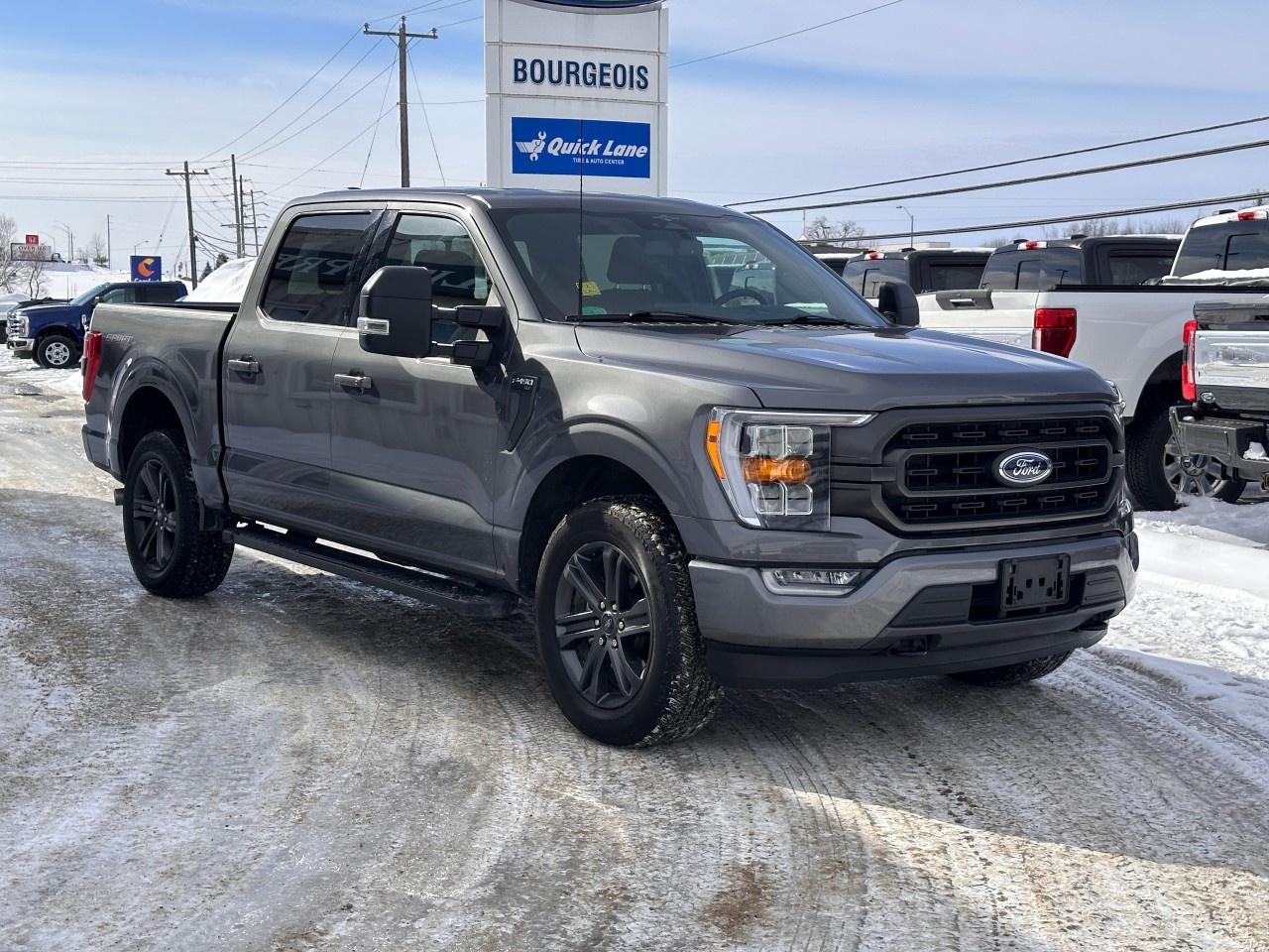 2023 Ford F-150 XLT 4WD SuperCrew 5.5' Box Photo3
