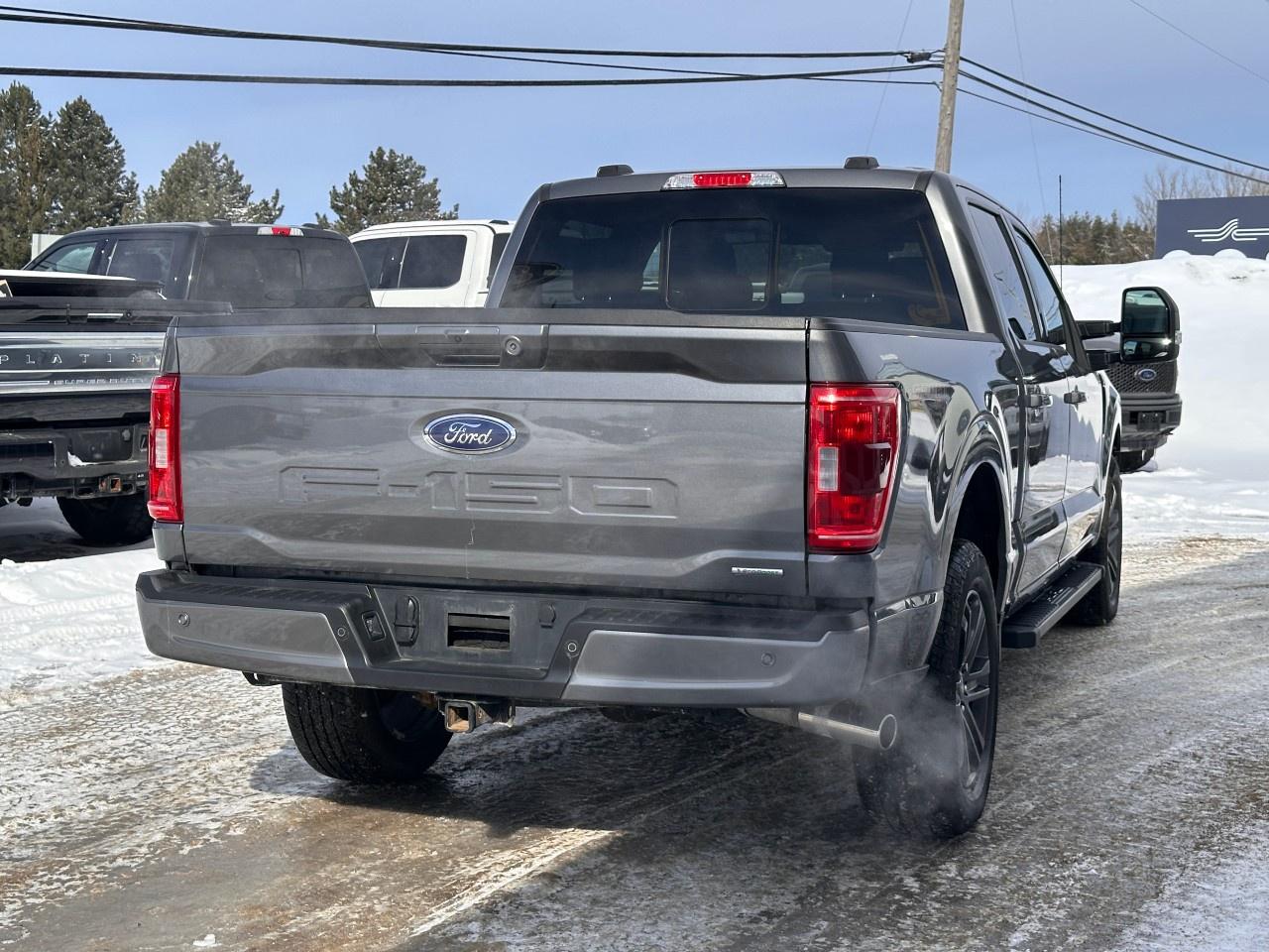 2023 Ford F-150 XLT 4WD SuperCrew 5.5' Box Photo