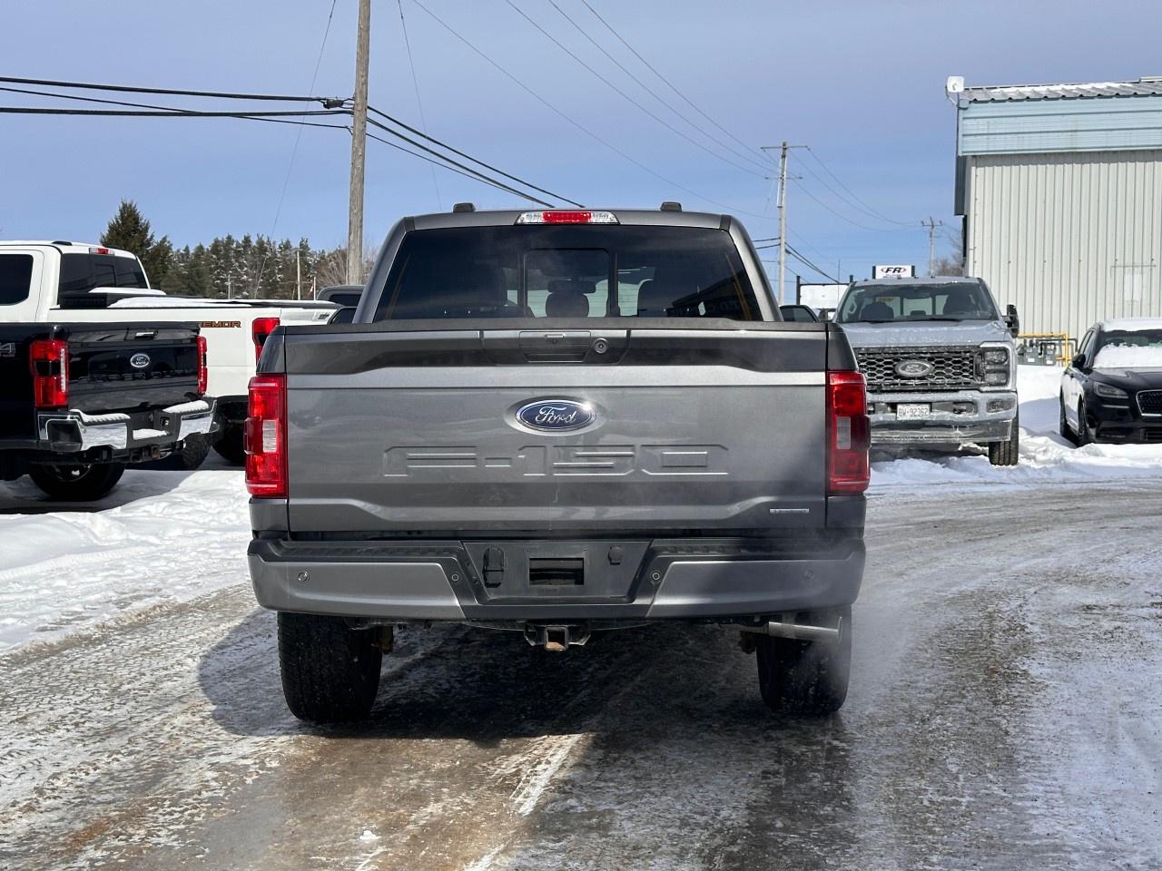 2023 Ford F-150 XLT 4WD SuperCrew 5.5' Box Photo
