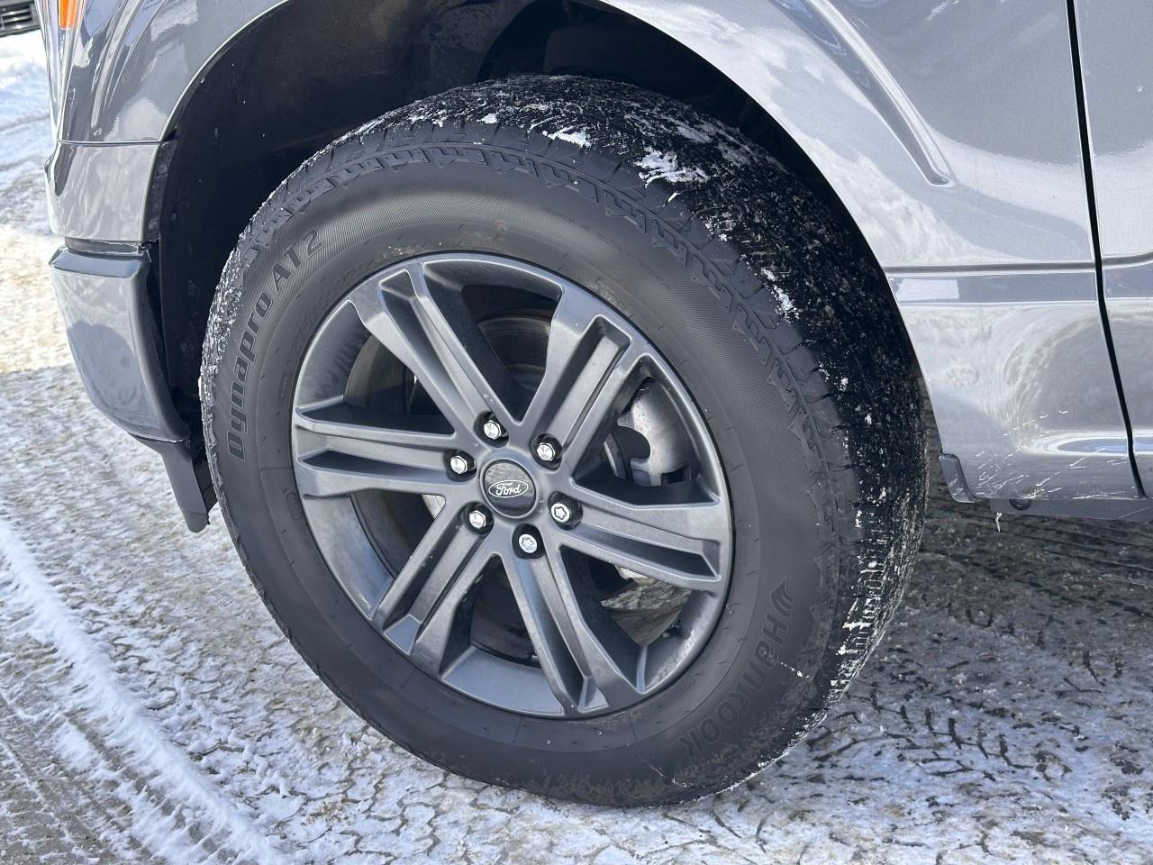 2023 Ford F-150 XLT 4WD SuperCrew 5.5' Box Photo