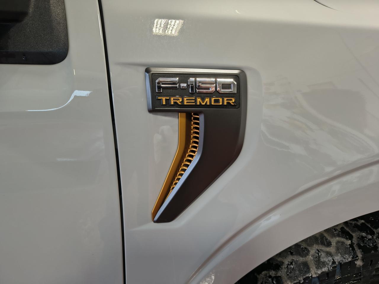 2023 Ford F-150 Tremor Photo0
