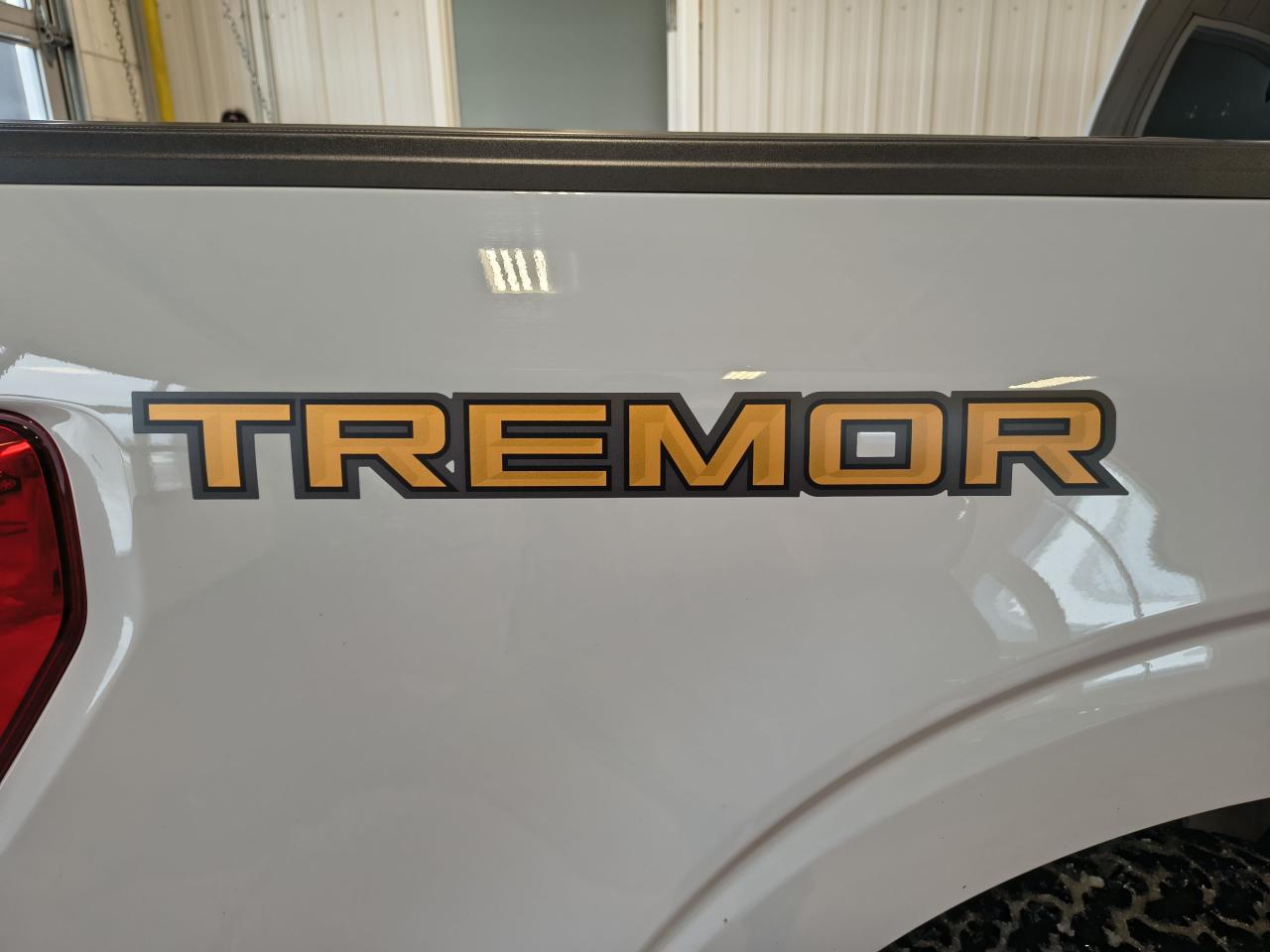 2023 Ford F-150 Tremor Photo0