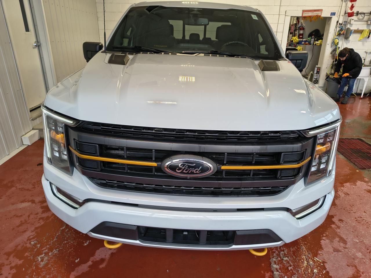 2023 Ford F-150 Tremor Photo0