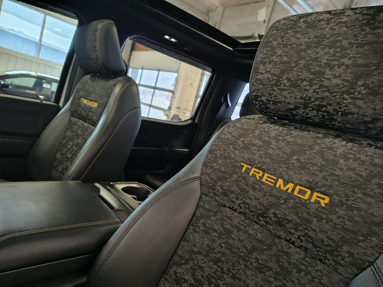 2023 Ford F-150 Tremor Photo0