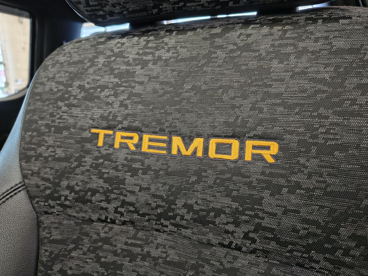 2023 Ford F-150 Tremor Photo0