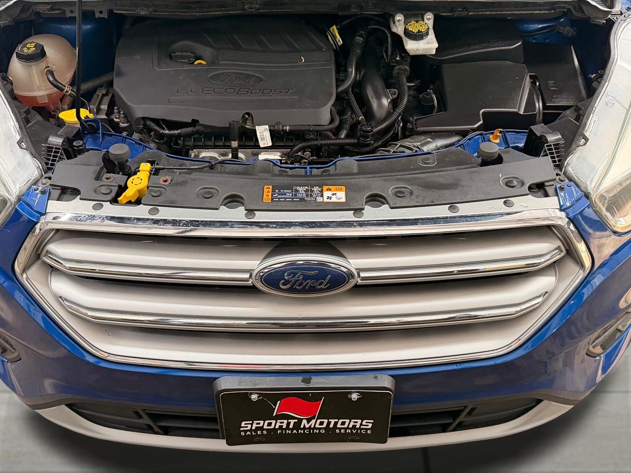 2017 Ford Escape SE+New Tires+Brakes+Camera+Heated Seats Photo