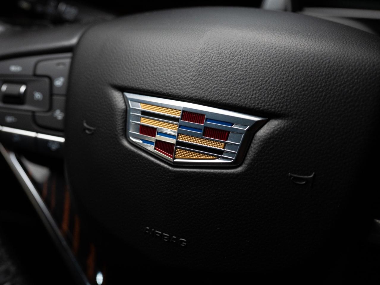 2024 Cadillac Escalade ESV PREMIUM LUXURY | 7 PASS | PERFORMANCE PKG | 22 IN Photo