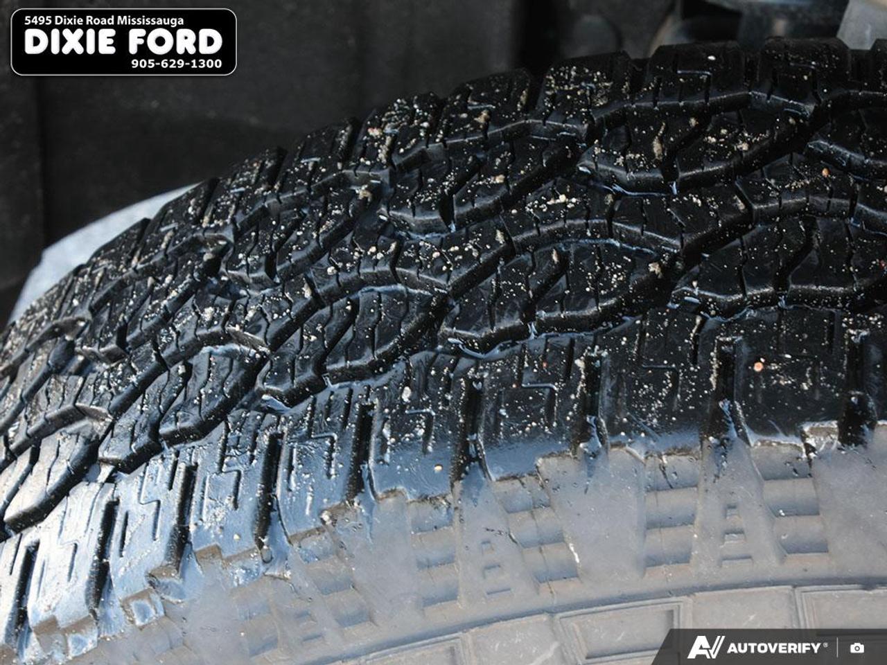 2025 Ford Ranger XLT Photo