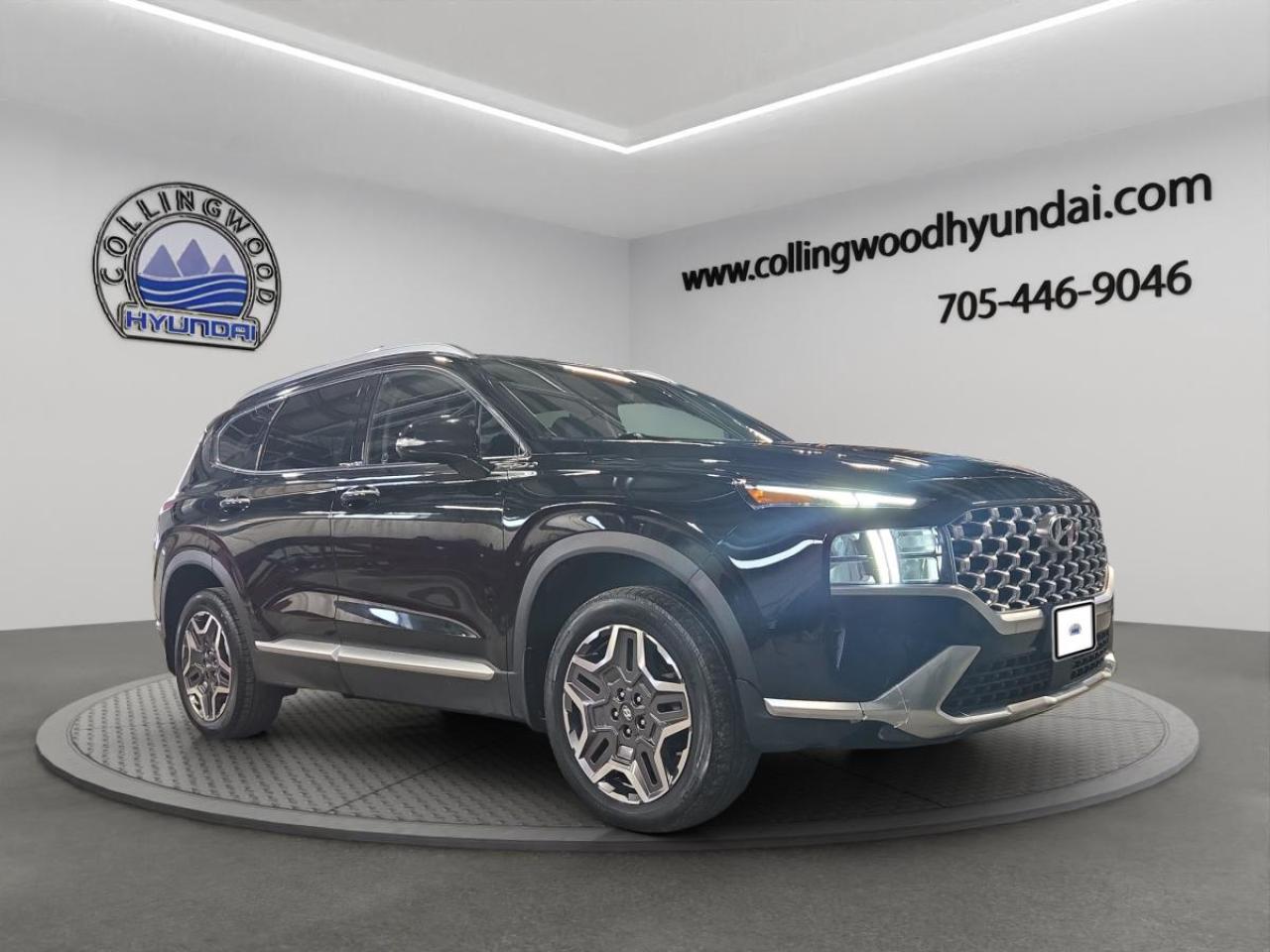 2023 Hyundai Santa Fe Hybrid Luxury Photo0