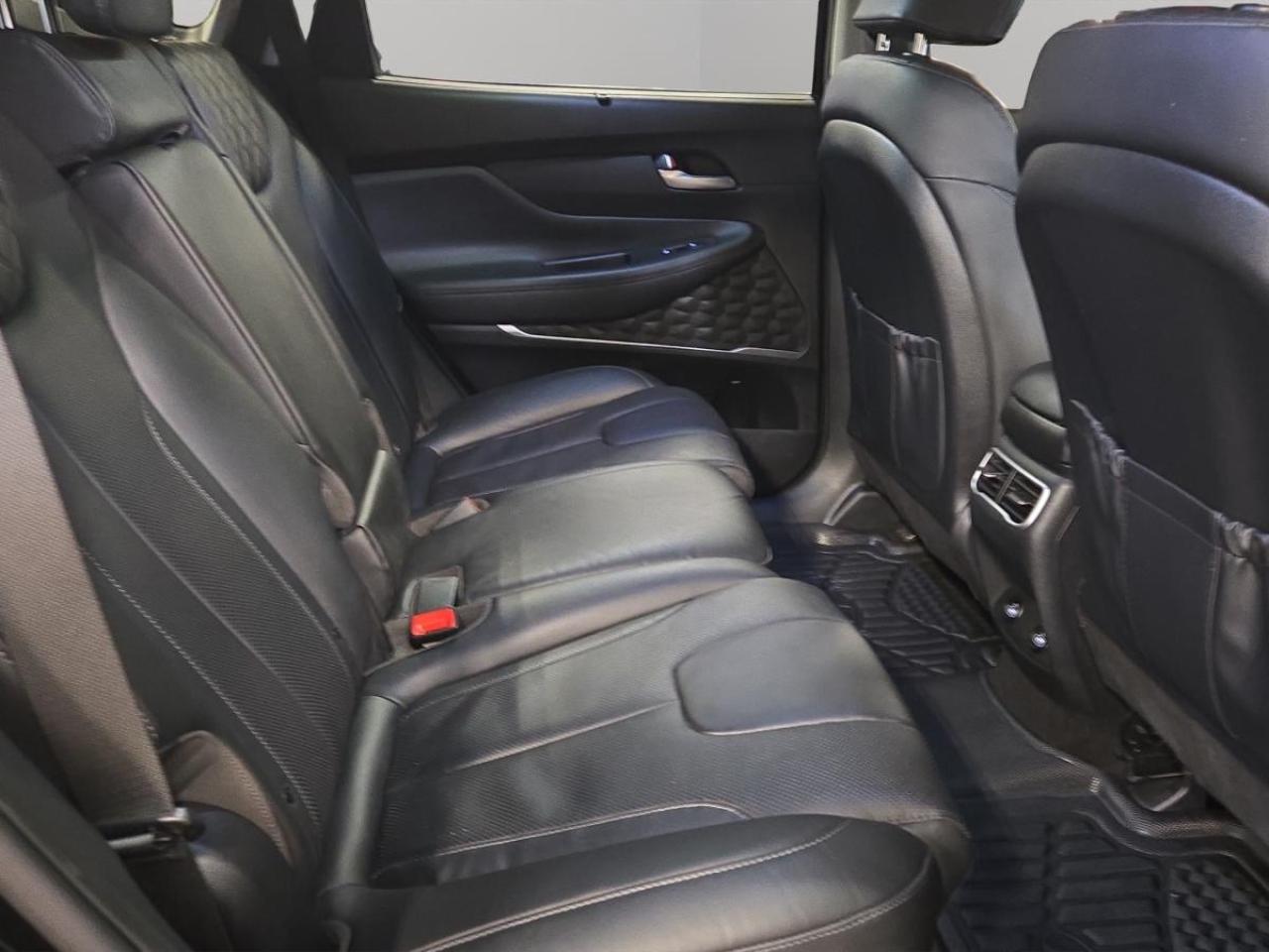 2023 Hyundai Santa Fe Hybrid Luxury Photo