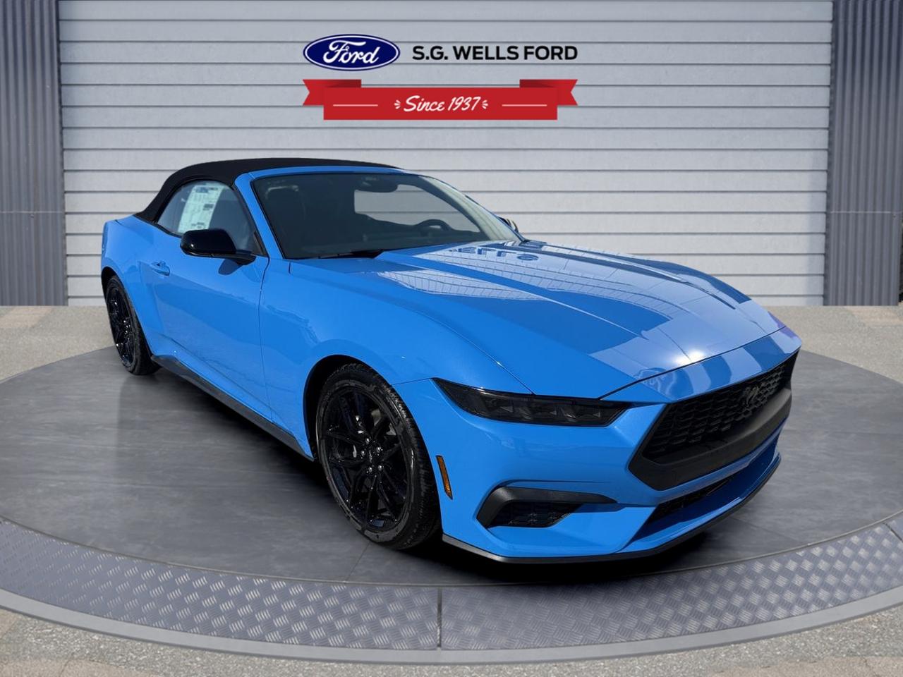 2026 Ford Mustang EcoBoost Photo