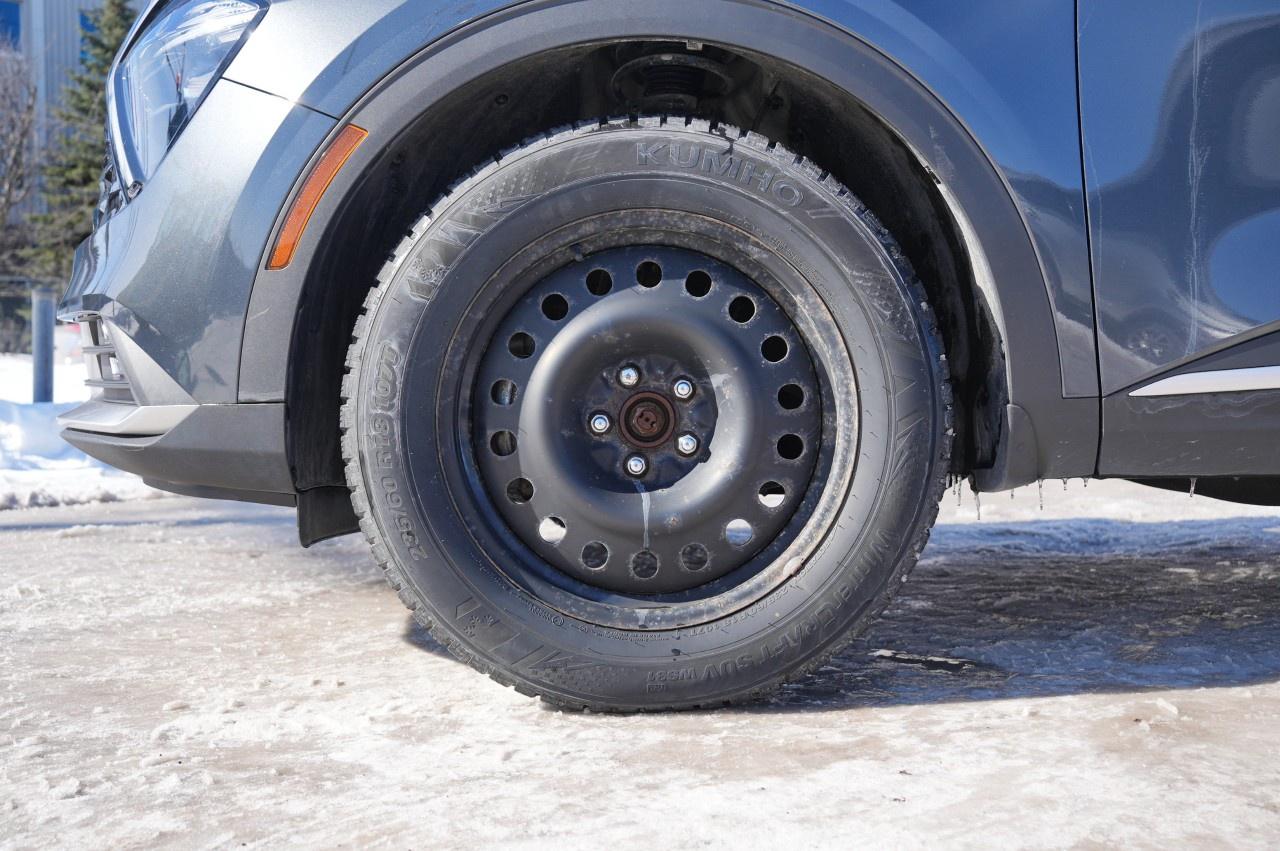 2023 Kia Sportage EX AWD Photo